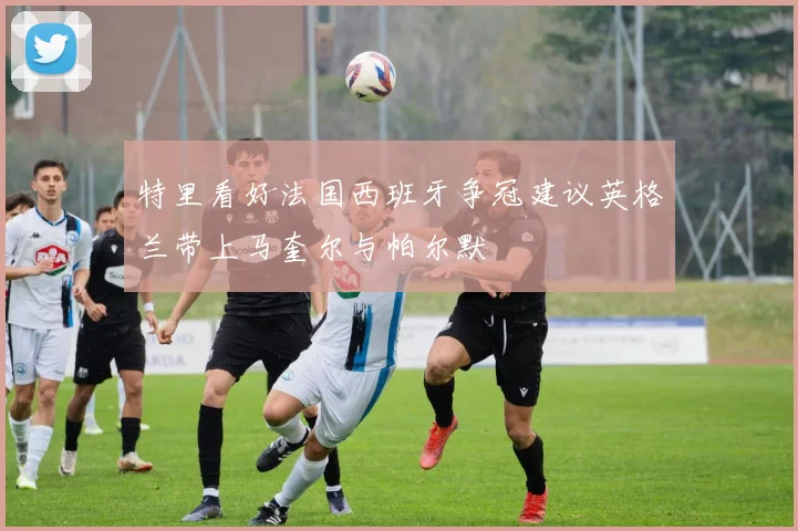 特里看好法国西班牙争冠建议英格兰带上马奎尔与帕尔默